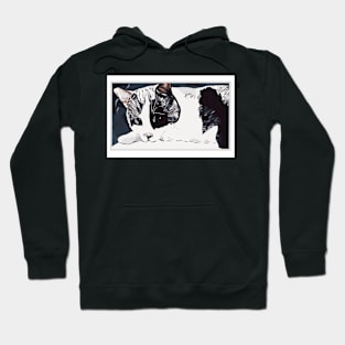 Graphic Cat Hoodie